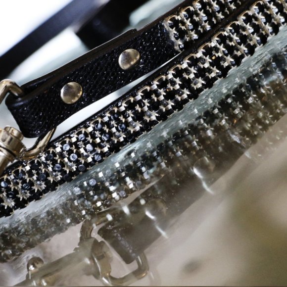 Runway Ready - Glammed Out Pet Leash - Picture 3 of 10